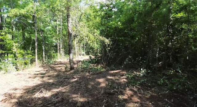 3198 Lee Road 246, Smiths Station, AL 36877 - photo 9
