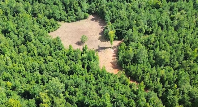 3198 Lee Road 246, Smiths Station, AL 36877 - photo 10