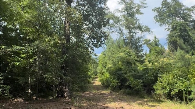 3198 Lee Road 246, Smiths Station, AL 36877 - photo 13