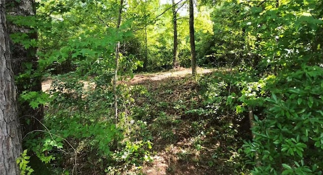3198 Lee Road 246, Smiths Station, AL 36877 - photo 3