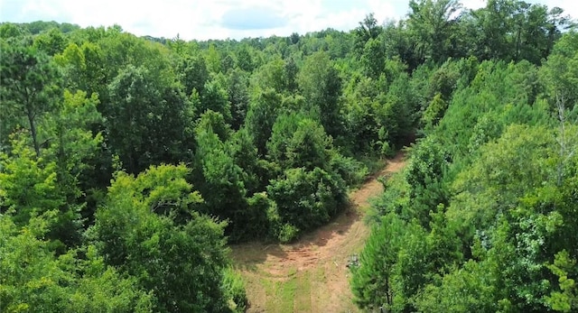 3198 Lee Road 246, Smiths Station, AL 36877 - photo 4