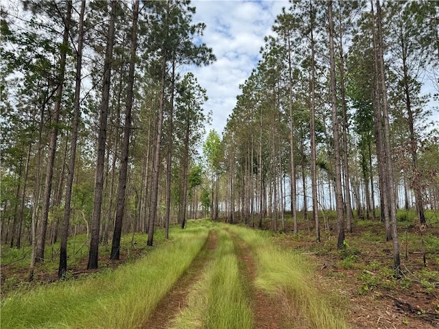 0 County Road 278, Five Points, AL 36855