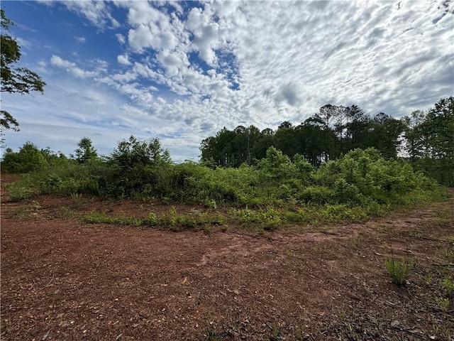0 County Road 278, Five Points, AL 36855