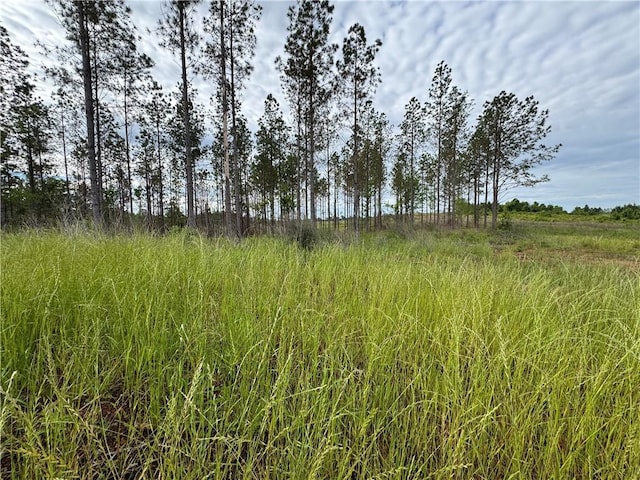0 County Road 278, Five Points, AL 36855