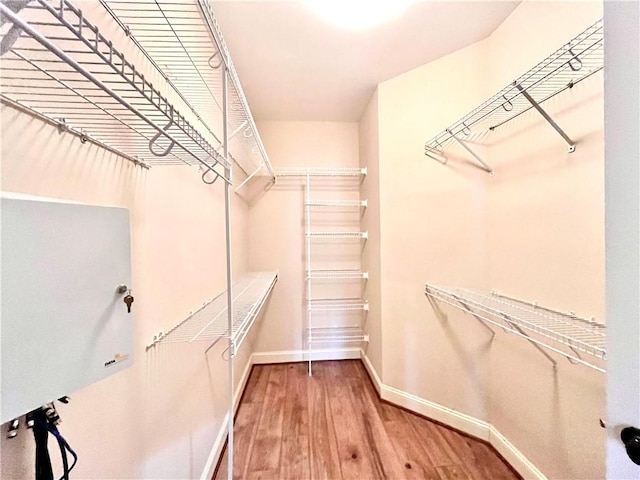 1807 Parsons Cir, Auburn, AL 36830 - spacious closet with hardwood / wood-style floors