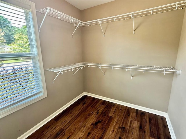 356 Embry Ln, Auburn, AL 36830 - photo 16
