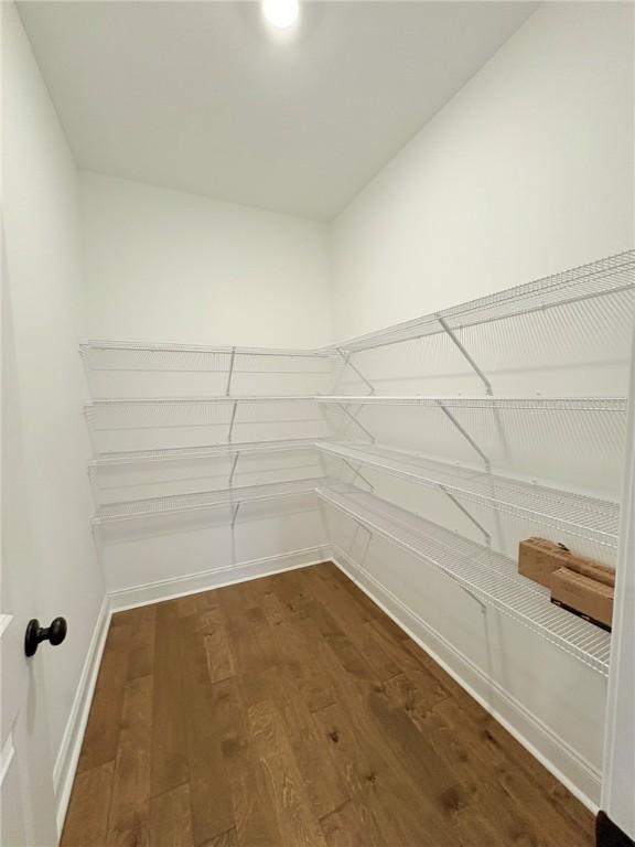 walk in closet with wood-type flooring