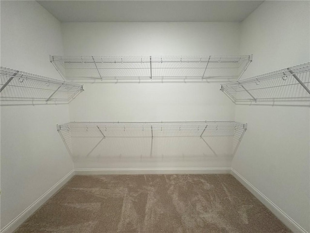 1649 James Burt Pkwy, Auburn, AL 36830 - spacious closet with carpet