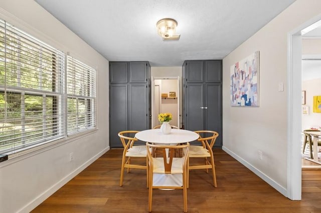 1324 Azalea Dr, Auburn, AL 36830 - dining area featuring baseboards and dark wood-style floors