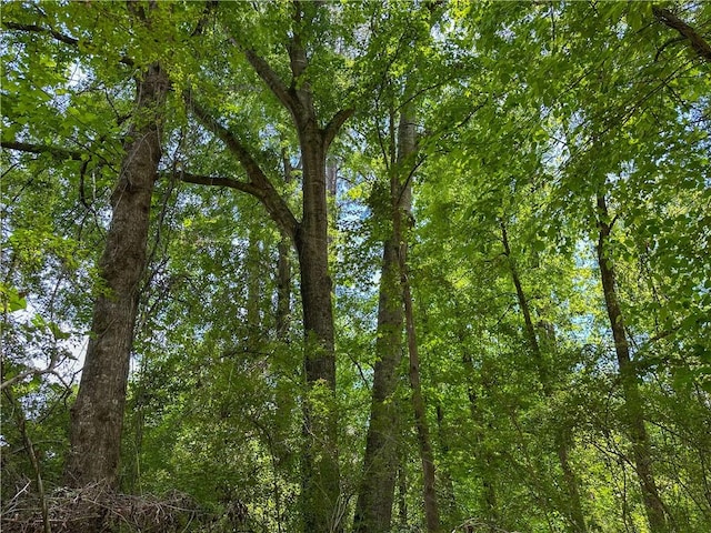 0 21st Ave SW, Lanett, AL 36863
