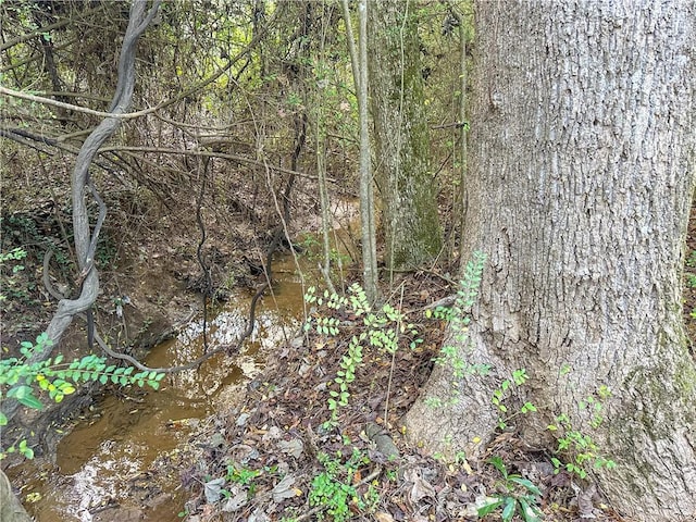 0 21st Ave SW, Lanett, AL 36863