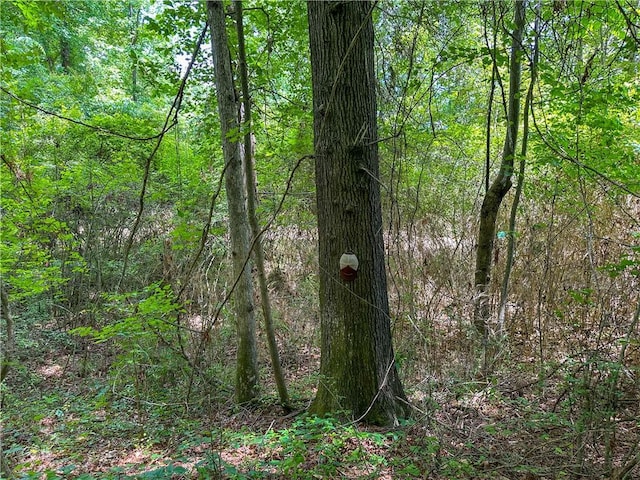 0 21st Ave SW, Lanett, AL 36863