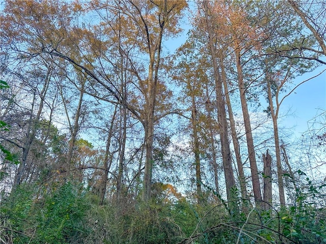 0 21st Ave SW, Lanett, AL 36863
