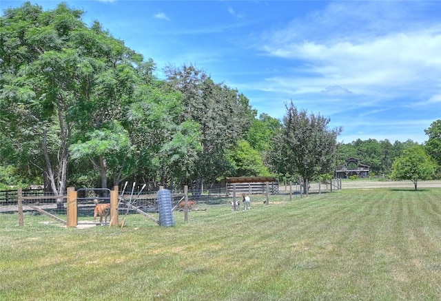 view of yard featuring a rural view