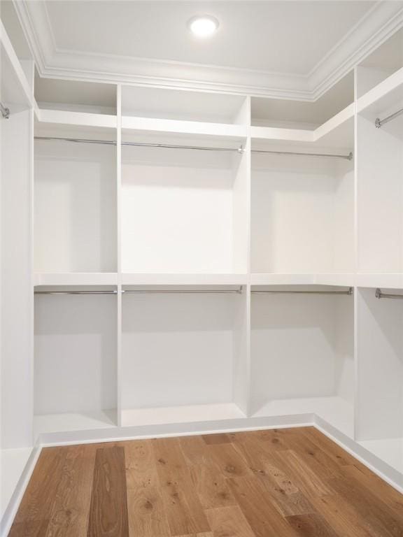 spacious closet with wood-type flooring