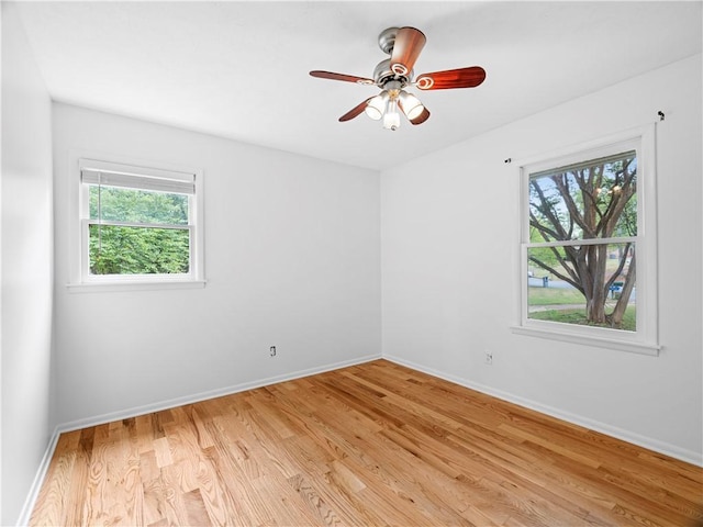 empty room with ceiling fan, plenty of natural light, and light hardwood / wood-style flooring