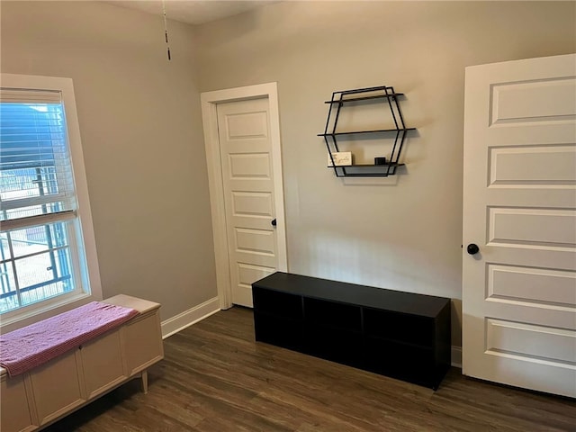 interior space featuring dark wood-type flooring