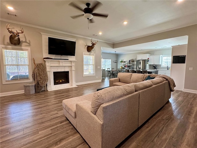 living room featuring a wealth of natural light, ceiling fan, and hardwood / wood-style floors