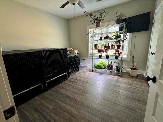 interior space with ceiling fan and dark hardwood / wood-style flooring