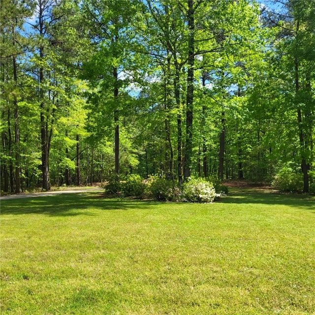 1155 County Road 517, Lanett, AL 36863 - view of green lawn with a view of trees
