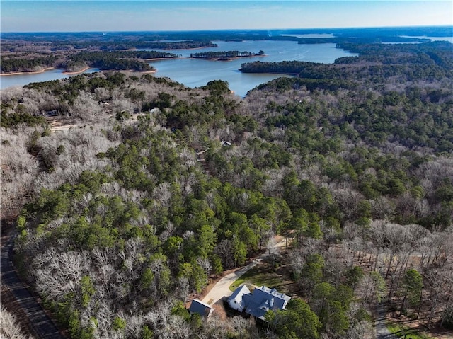 birds eye view of property featuring a water view and a view of trees