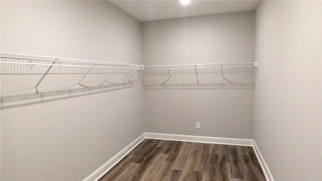 spacious closet with dark wood-type flooring