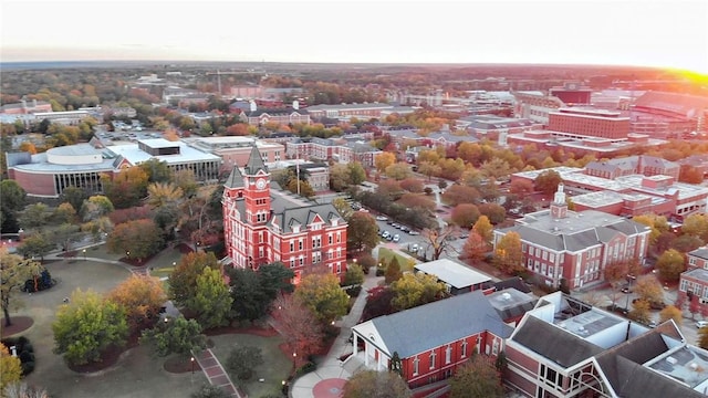 aerial view