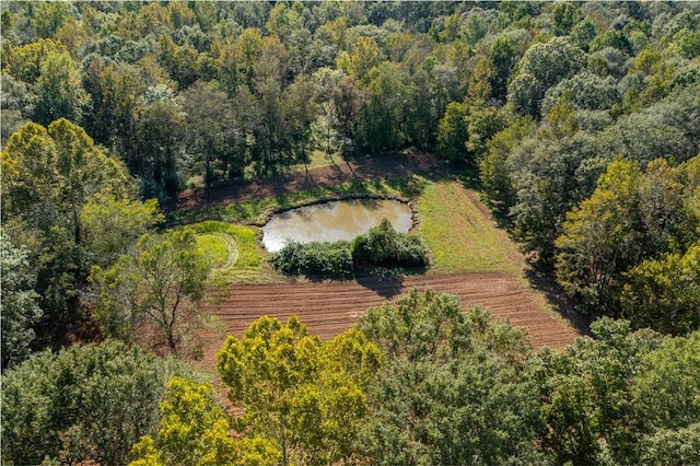 1165 Monk St, Valley, AL 36854 - drone / aerial view of a forest