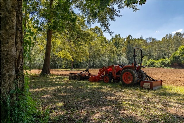 1165 Monk St, Valley, AL 36854 - view of yard featuring a view of trees