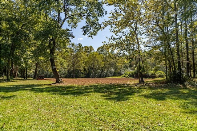 1165 Monk St, Valley, AL 36854 - view of green lawn