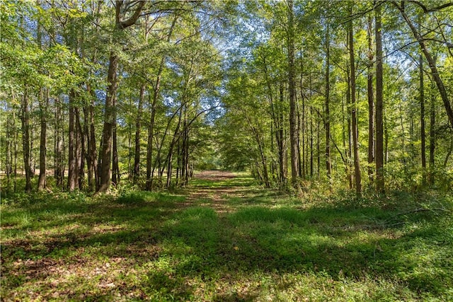 1165 Monk St, Valley, AL 36854 - view of tree filled area