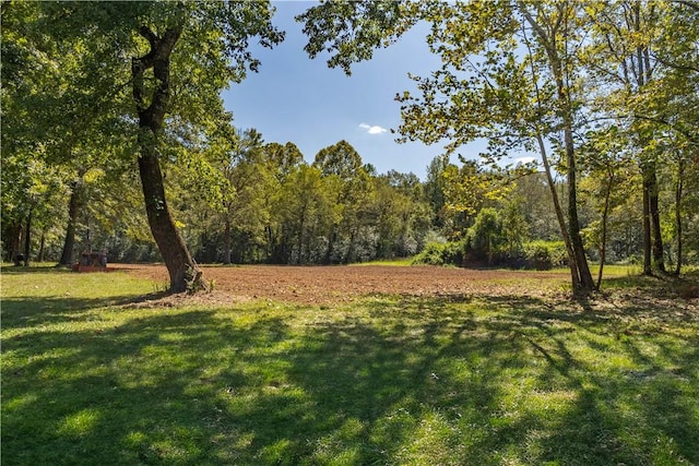 1165 Monk St, Valley, AL 36854 - view of grassy yard with a view of trees