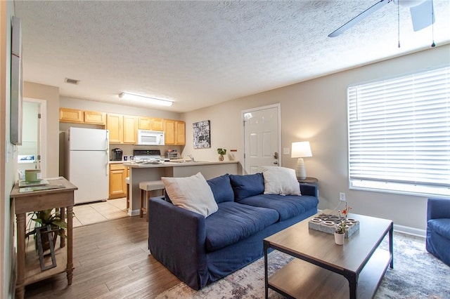 303 N Ross Ave Unit 215, Auburn, AL 36830 - living room with light wood finished floors, ceiling fan, and a textured ceiling