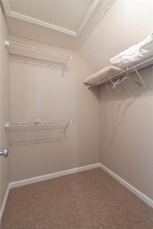 303 N Ross Ave Unit 215, Auburn, AL 36830 - spacious closet featuring vaulted ceiling and carpet floors