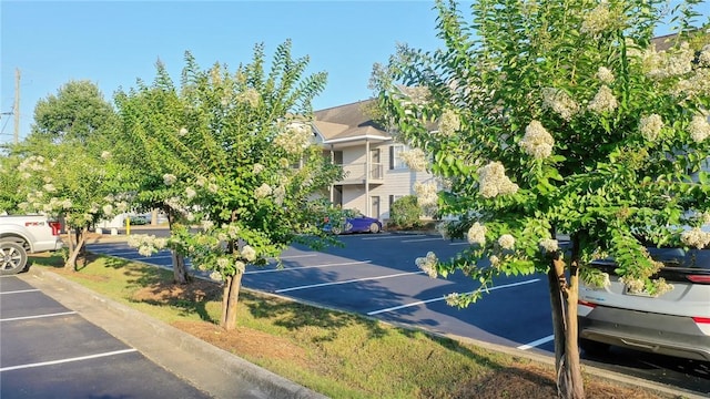 303 N Ross Ave Unit 215, Auburn, AL 36830 - view of property with uncovered parking