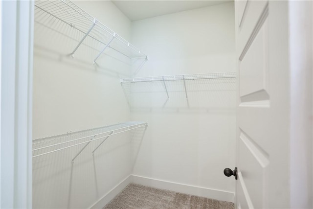 spacious closet featuring light colored carpet