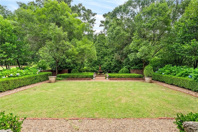 1601 Tanyard Rd, Lanett, AL 36863 - view of grassy yard
