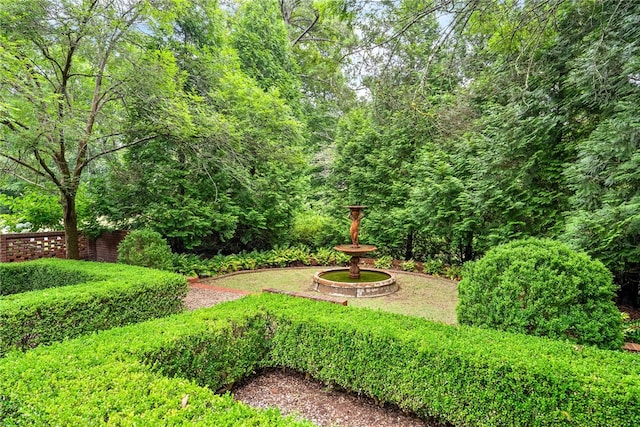 1601 Tanyard Rd, Lanett, AL 36863 - view of yard