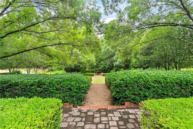 1601 Tanyard Rd, Lanett, AL 36863 - view of yard