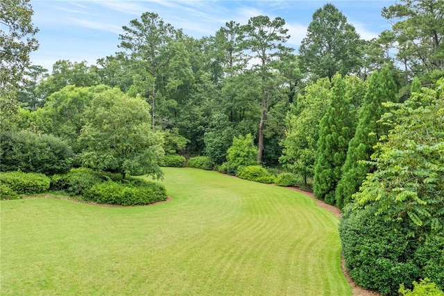 1601 Tanyard Rd, Lanett, AL 36863 - view of green lawn featuring golf course view