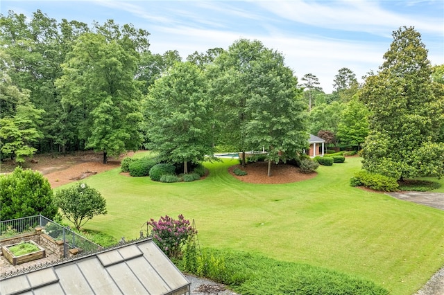 1601 Tanyard Rd, Lanett, AL 36863 - view of green lawn