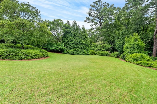 1601 Tanyard Rd, Lanett, AL 36863 - view of green lawn with golf course view and view of wooded area