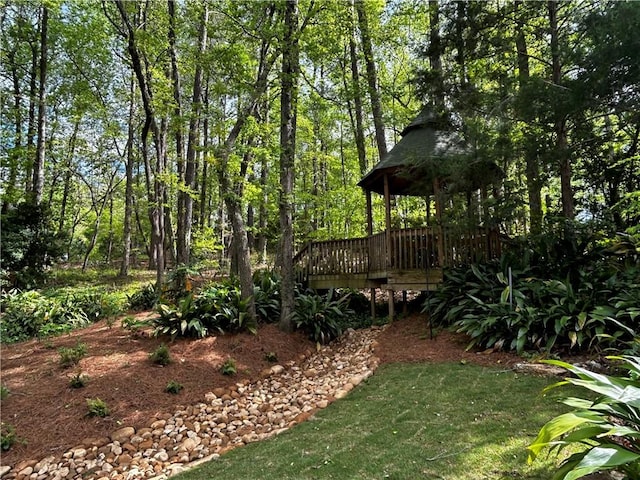 1894 Hillton Ct, Auburn, AL 36830 - view of yard