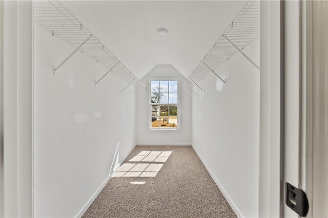 42 Lee Road 2234, Smiths Station, AL 36877 - walk in closet featuring light colored carpet and vaulted ceiling
