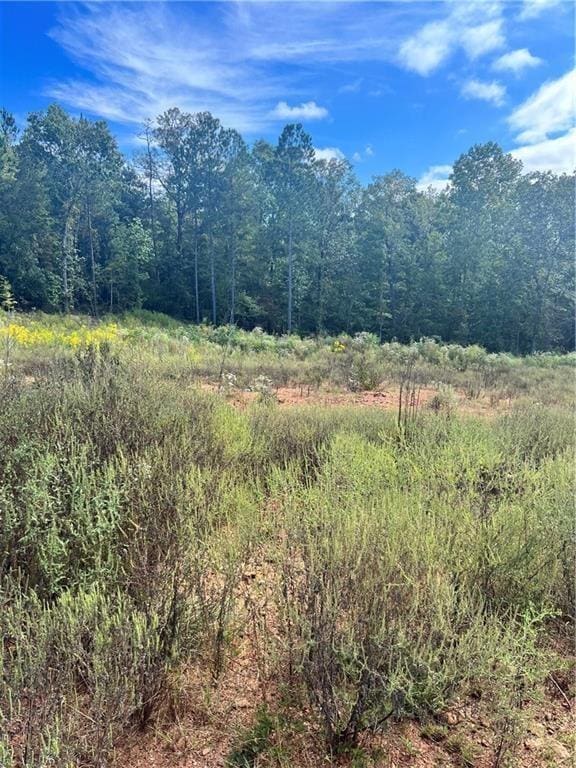 553 Lee Road 2192, Cusseta AL, 36852 land for sale