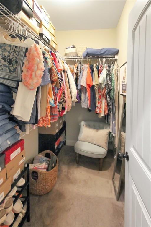 3855 Academy Dr Unit 402, Opelika, AL 36801 - walk in closet featuring carpet flooring