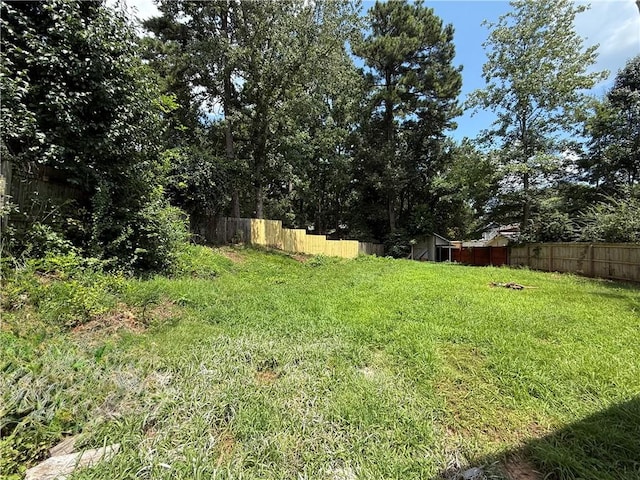 1010 Dekalb St, Auburn, AL 36830 - photo 39