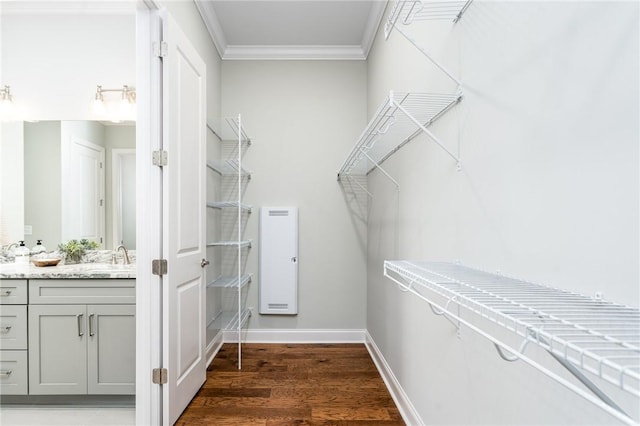 walk in closet featuring dark wood-type flooring and sink