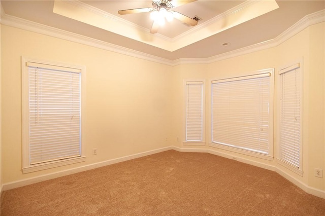 carpeted empty room featuring a raised ceiling, ceiling fan, and ornamental molding