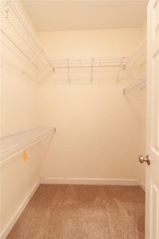 spacious closet with carpet flooring